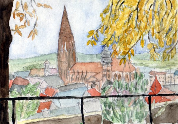 Freiburg vom Schlossberg aus